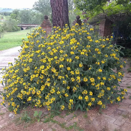 בית כפרי Bosimano *